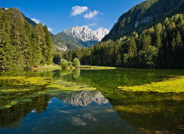 Planšarsko jezero