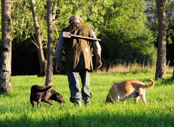 Truffle hunting Istria