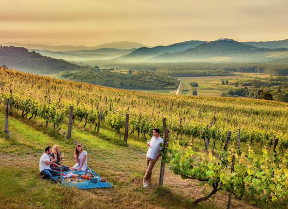 Aperitif in vineyards